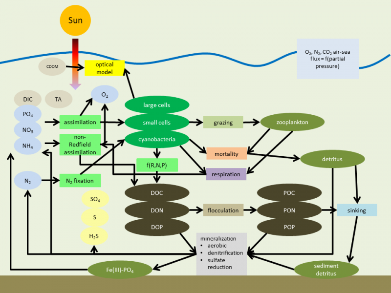 ERGOM schematic ERGOM schematic