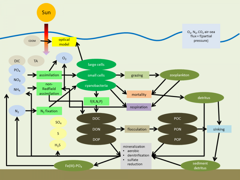 ERGOM schematic